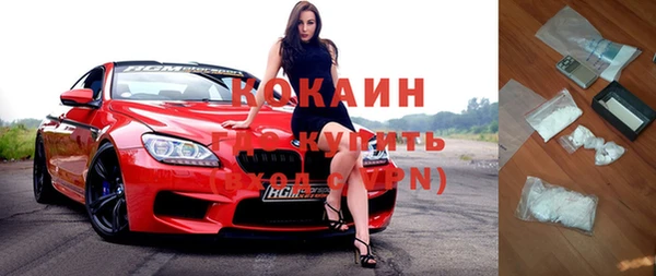 гашик Майский