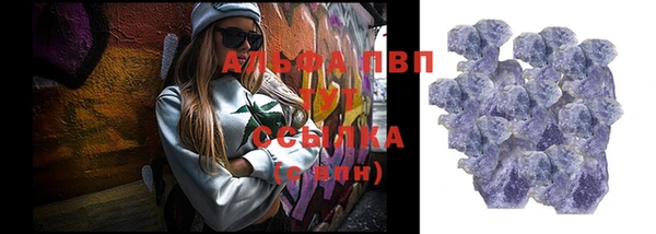 apvp Гусев
