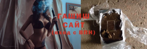индика Гусиноозёрск