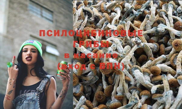 каннабис Протвино