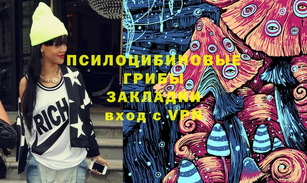 ешки Гусь-Хрустальный