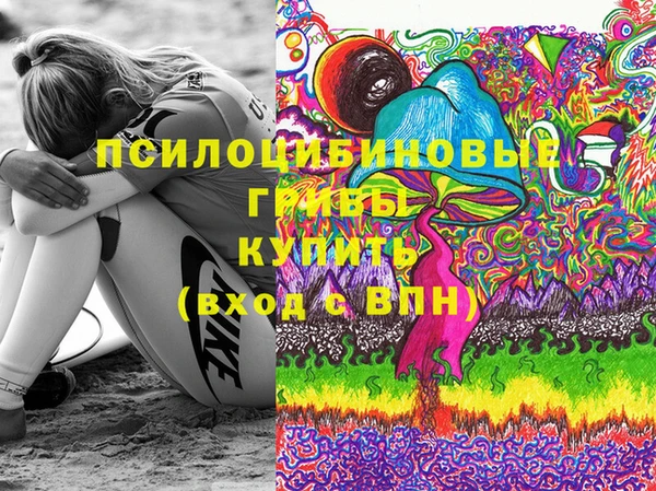 шишки Магадан
