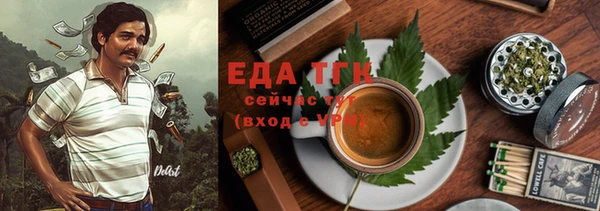 apvp Гусев