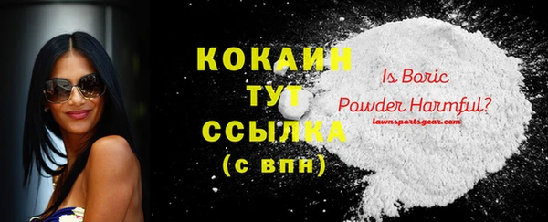 шишки Магадан