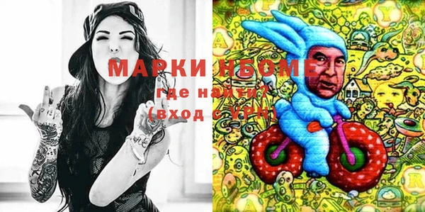 шишки Магадан