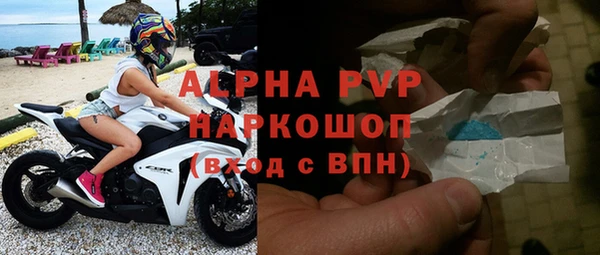 гашик Майский