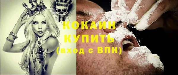 apvp Гусев