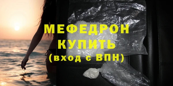 индика Гусиноозёрск