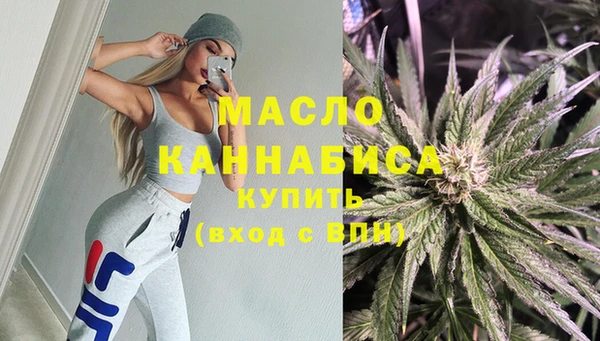 индика Гусиноозёрск