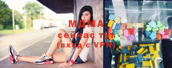apvp Гусев